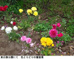 096a94df.jpg