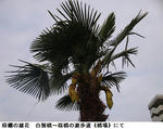 f48d03c9.jpg