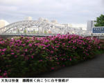 60483b69.jpg