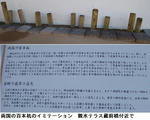 6dbc1471.jpg