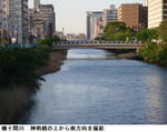 44d8a090.jpg
