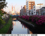 50d5988e.jpg