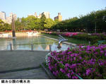 fbce50d6.jpg