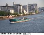 8a51cc46.jpg