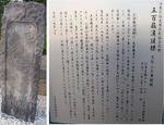 10f9877a.jpg