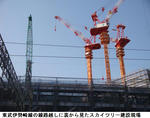 a4d54645.jpg
