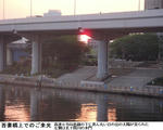 bcaa9e7a.jpg