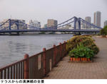 d40377a7.jpg