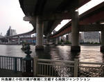 f8c28433.jpg