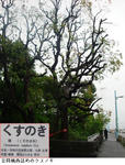 96515f4b.jpg