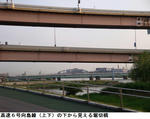 5322d956.jpg