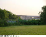7d8c6809.jpg