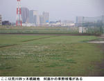 f8164d89.jpg