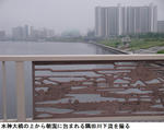 e678189d.jpg