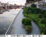 2e2b7419.jpg