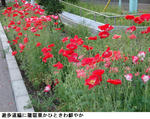 078051ed.jpg