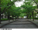 a66add6c.jpg