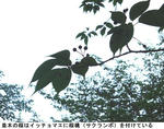 8bb2c673.jpg