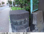 95d6cce1.jpg