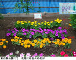 0a81b54c.jpg