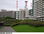 e66719ea.jpg