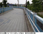 4a05e1b5.jpg