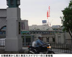7487cf76.jpg