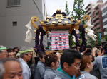 63a56a53.jpg