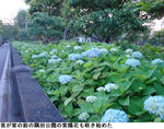 354f6d74.jpg
