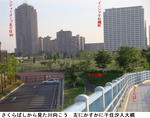 bb6f3443.jpg