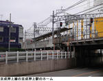 4799696c.jpg