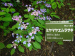 cc72c166.jpg