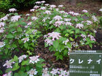 6d5807cc.jpg