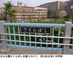 e1f990b1.jpg