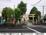 8b008a87.jpg