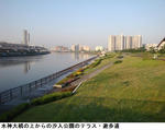 4588081c.jpg