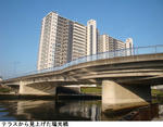 ad024e29.jpg