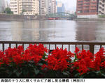 ec19f53c.jpg