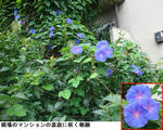 5ca3645d.jpg