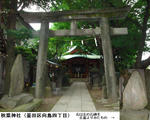 c255b675.jpg