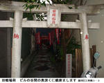 e18547eb.jpg
