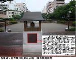7d6184d1.jpg