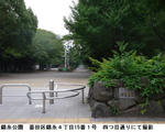 16517a87.jpg