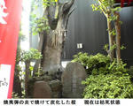 111b98d1.JPG