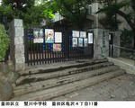 988557ce.jpg