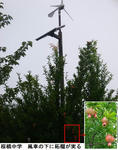915ec7df.jpg