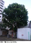 1dc16d9f.jpg