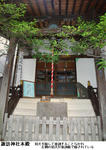0808244c.jpg