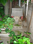 c69475ad.jpg