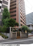 e14499ef.jpg